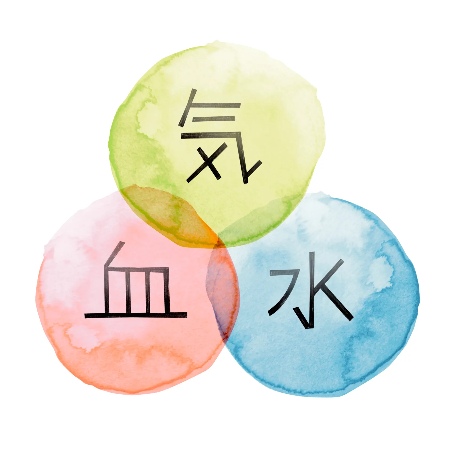 気血水