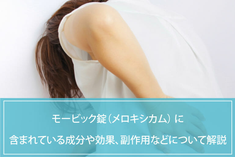 メロキシカムジオラボのリーフレット